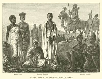 Tribos típicas da costa noroeste da África de English School