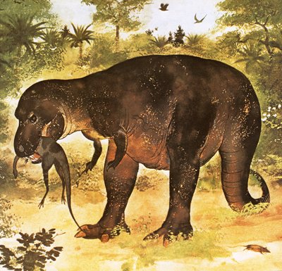 Tiranossauro comendo um Struthiomimus de English School