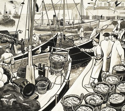 Porto de pesca não identificado com peixe do cais de English School