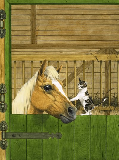 Cavalo não identificado e gatinho brincalhão de English School