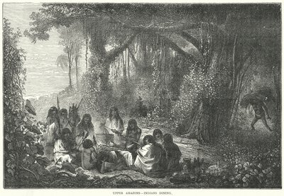 Alto Amazonas - Índios a jantar (gravura) de English School