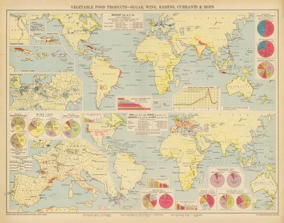 Produtos alimentares vegetais, açúcar, vinho, passas de uva, groselhas e lúpulo (litografia a cores) de English School
