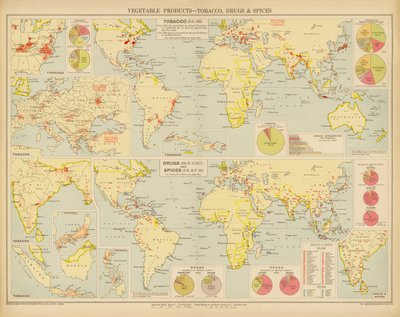 Produtos vegetais, tabaco, drogas e especiarias (litografia a cores) de English School