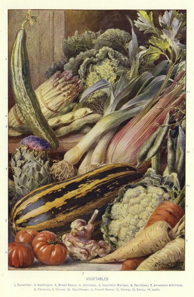 Legumes de English School