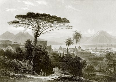 Vesúvio de English School