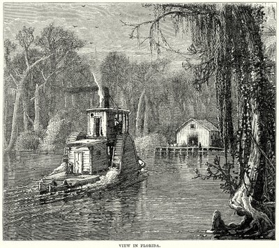 Vista na Florida (gravura) de English School