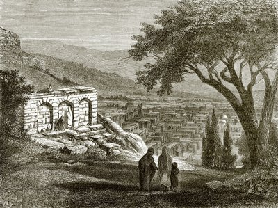 Visão de Shumakhi de English School
