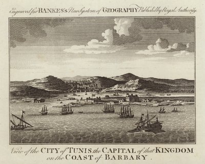 Vista, de, cidade, de, tunis de English School