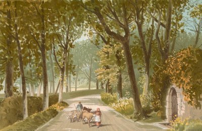 Vinchelez Lane - Jersey de English School