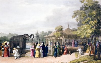 Visitantes do Jardim Zoológico de Londres, Regent