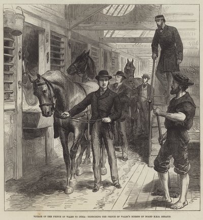Voyage of the Prince of Wales to India, exercendo o Príncipe de Gales a bordo do HMS Serapis (gravura) de English School