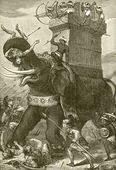 Elefante de guerra no exército do rei Dario de English School