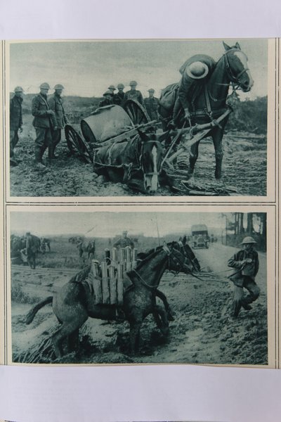 Cavalos de guerra afundando na lama, norte da França, agosto de 1917 de English School