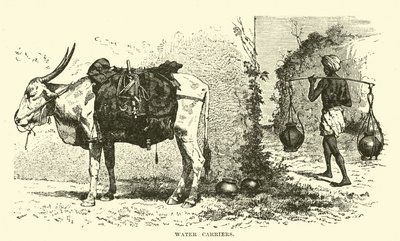 Transportadores de água de English School