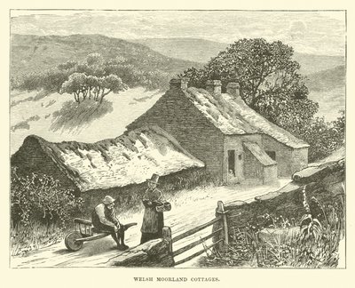 Chalés galês Moorland de English School