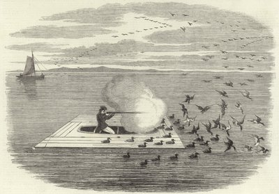 Tiro de pato selvagem no Potomac de English School