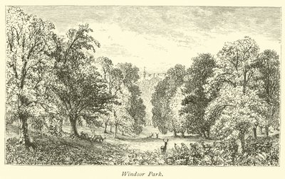 Windsor Park de English School