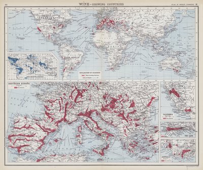 Vinho, países produtores (litografia a cores) de English School