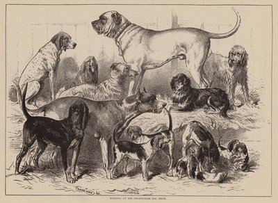 Vencedores da Exposição Canina de Birmingham (gravura) de English School