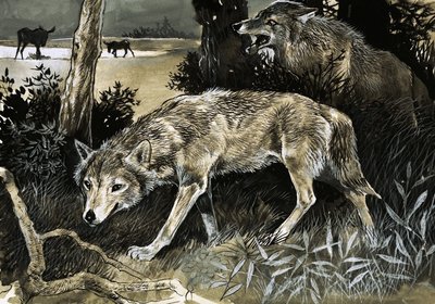 Lobos à espreita de English School