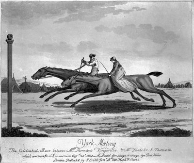 Encontro de York, A corrida celebrada entre &39;Vingarillo&39; de Thornton e &39;Thornville&39; de Flint, 25 de agosto de 1804 (gravura) de English School