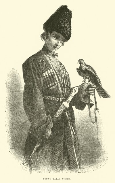 Jovem nobre tártara de English School