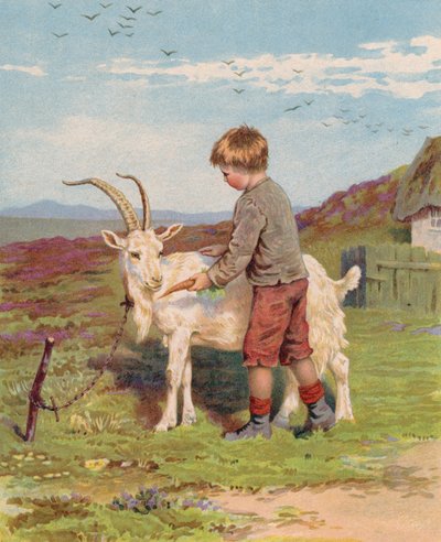 Jovem rapaz alimentando um bode de cabra numa quinta (chromolitho) de English School