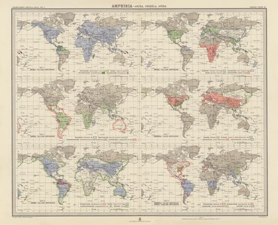 Zoogeografia: Amphibia, Anura, Urodela, Apoda (litografia a cores) de English School