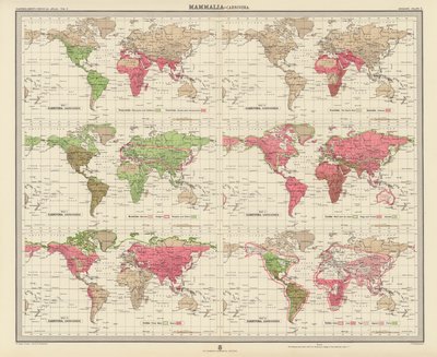 Zoogeografia: Mammalia, Carnivora (litografia a cores) de English School