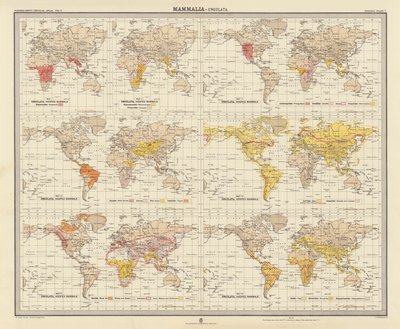 Zoogeografia: Mammalia, Ungulata (litografia a cores) de English School