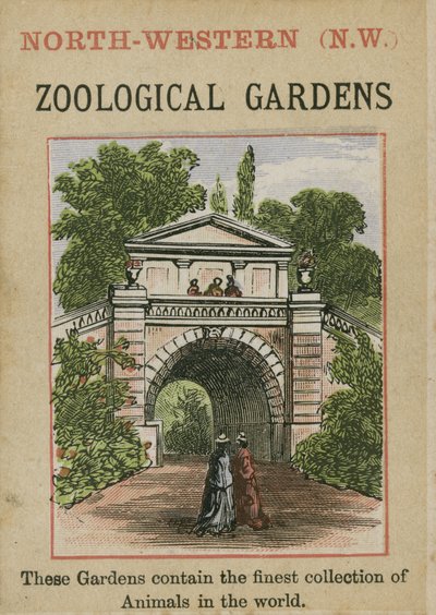 Jardins zoológicos de English School