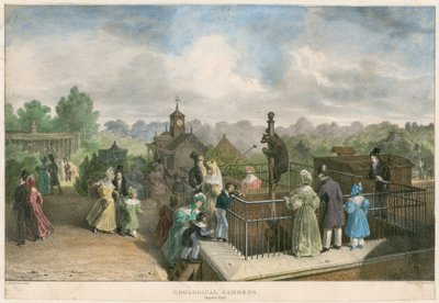 Zoologische Gärten, Regent