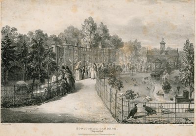 Jardins Zoológicos, Regents Park de English School