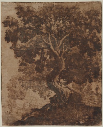 Árvore na Paisagem, meados do século XVII. de Ercole Bazicaluva