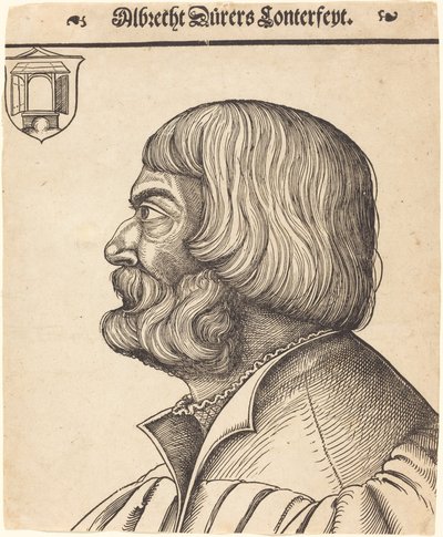 Albrecht Dürer aos cinquenta e seis anos de Erhard Schon