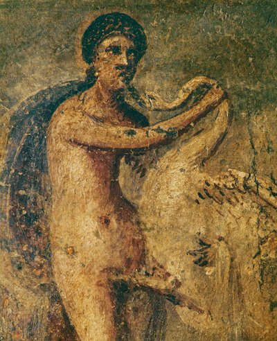 Leda e o cisne de Erich Lessing