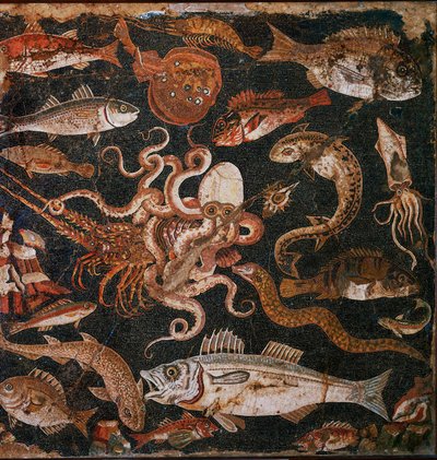 Fauna submarina. Mosaico de Pompeia, Itália de Erich Lessing