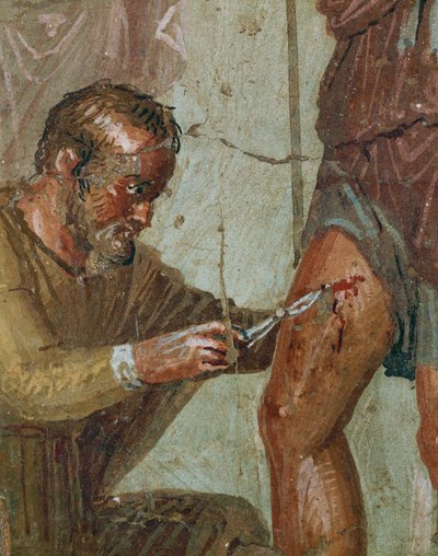 Eneias ferido entre Vénus e Ascânio (fresco) de Erich Lessing