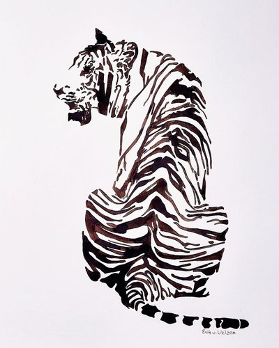 Majestoso tigre malhado de Erik Van Velzen