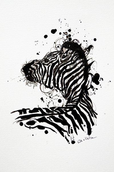 Salpicos de tinta da zebra selvagem de Erik Van Velzen