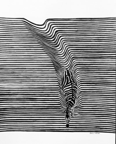 Ilusão de ótica da zebra de Erik Van Velzen