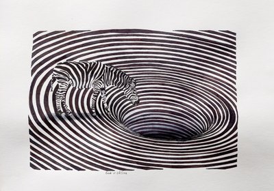 Ilusão de Zebra Vortex de Erik Van Velzen
