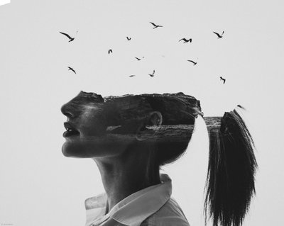  de Erkin Demir