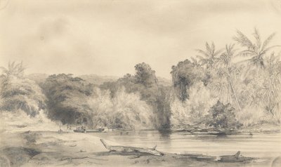 Entrada do rio Paiou, ilha de Vanikoro de Ernest Auguste Goupil