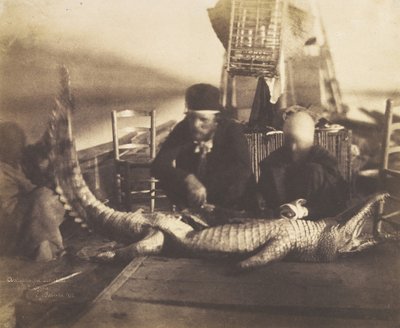 Autópsia do primeiro crocodilo a bordo, Alto Egito, 1852. de Ernest Benecke