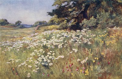 Sol em Prado de Ernest Benger or Berenger