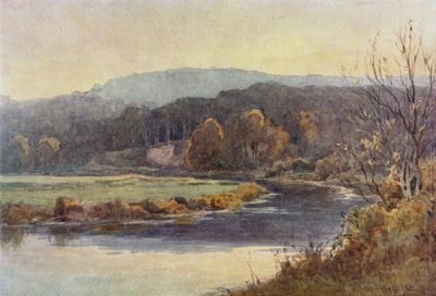 A floresta e a hidrovia de Ernest Benger or Berenger