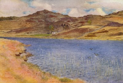 Loch Howie ou Wee (litografia a cores) de Ernest Edward Briggs