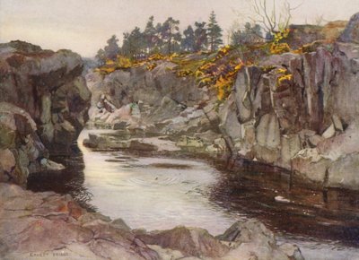 O desfiladeiro abaixo do Linn (litografia a cores) de Ernest Edward Briggs