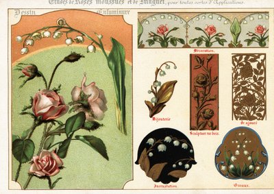 Imagens de rosa musgo e lírio do vale a partir de manuscritos e de Ernest Guillot